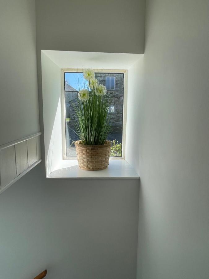 Mayfair, Tintagel 3 Bed Sleeps 6 Apartment Екстериор снимка
